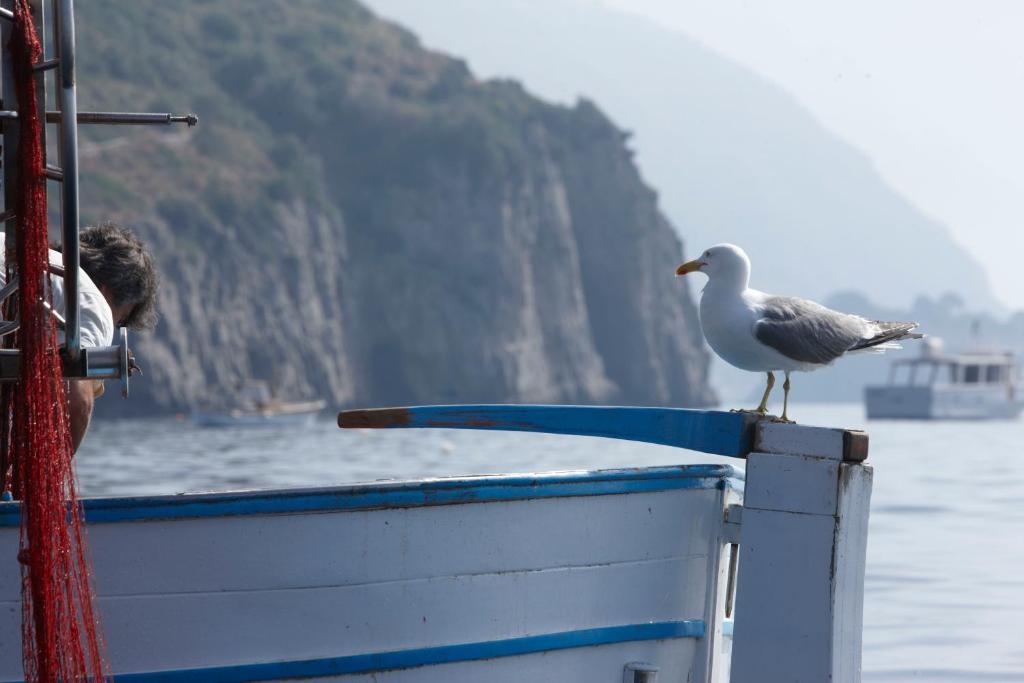 Taverna Del Capitano Marina del Cantone 外观 照片